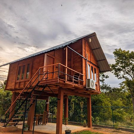 Villa Lion Wood Treehouse Talkote Exterior foto